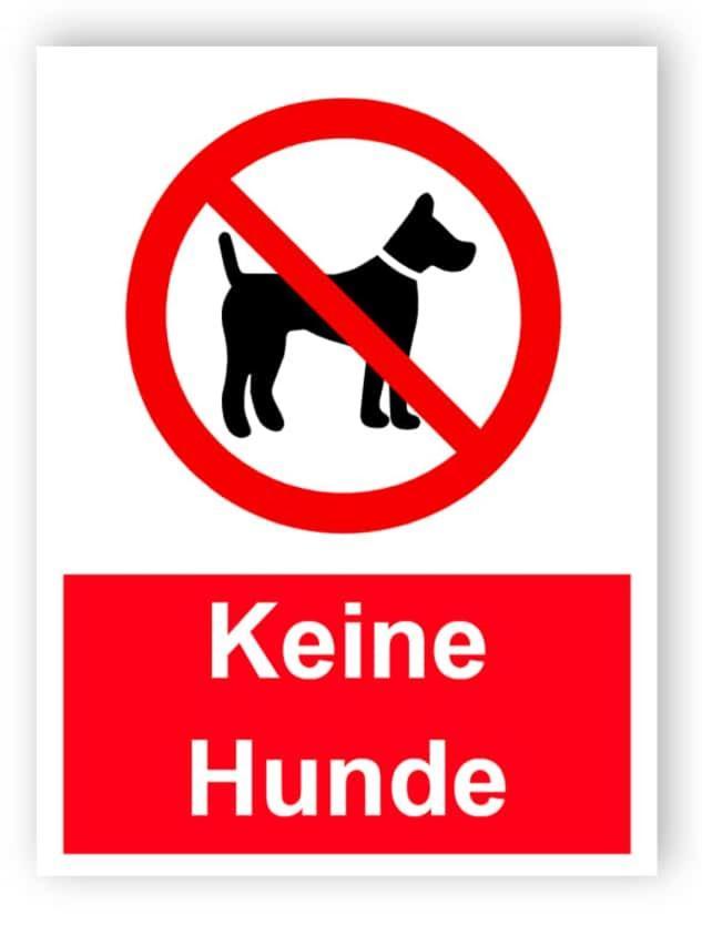 Ferienresort Edersee Gmbh Hemfurth-Edersee 客房 照片